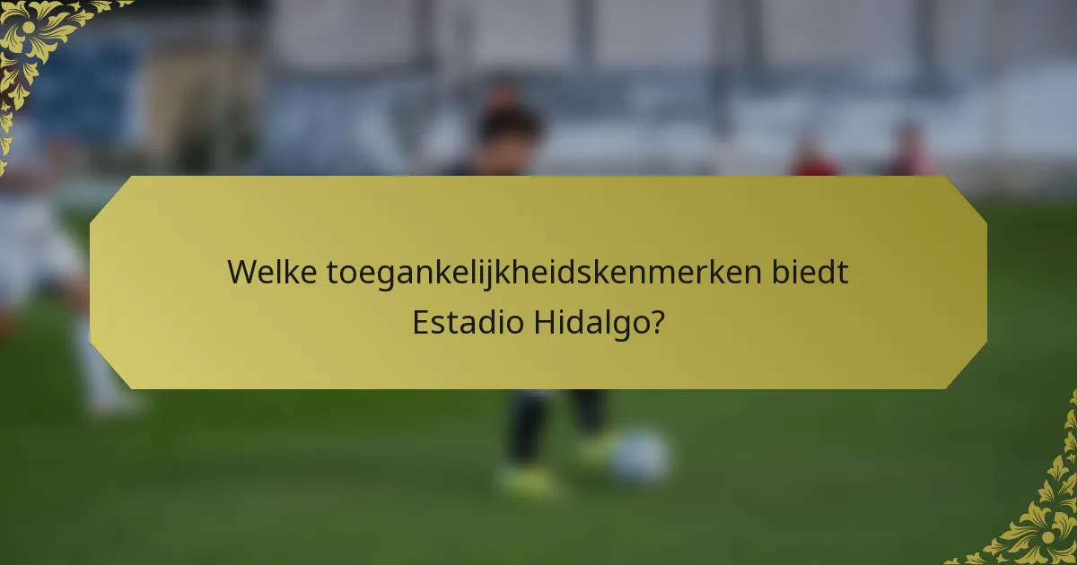 Welke toegankelijkheidskenmerken biedt Estadio Hidalgo?